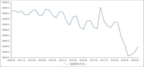 13歲的“豬堅(jiān)強(qiáng)”：周期與輪回