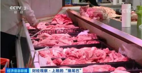 豬肉價格反彈，1頭豬利潤＝2瓶茅臺酒？