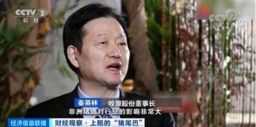 豬肉價格反彈，1頭豬利潤＝2瓶茅臺酒？