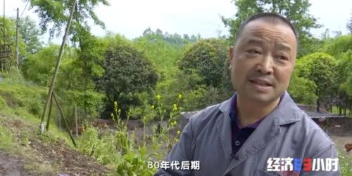 8個(gè)品種本土種豬滅絕!我們餐桌多為“外來(lái)豬”?!本土“二師兄”去哪了?