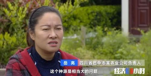 8個(gè)品種本土種豬滅絕!我們餐桌多為“外來(lái)豬”?!本土“二師兄”去哪了?