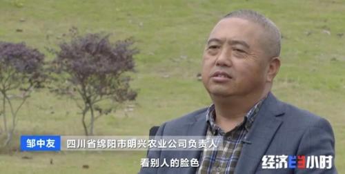 8個(gè)品種本土種豬滅絕!我們餐桌多為“外來(lái)豬”?!本土“二師兄”去哪了?